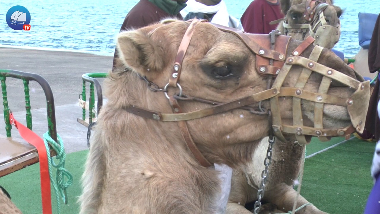 Cabalgata de Los Reyes Magos 2017