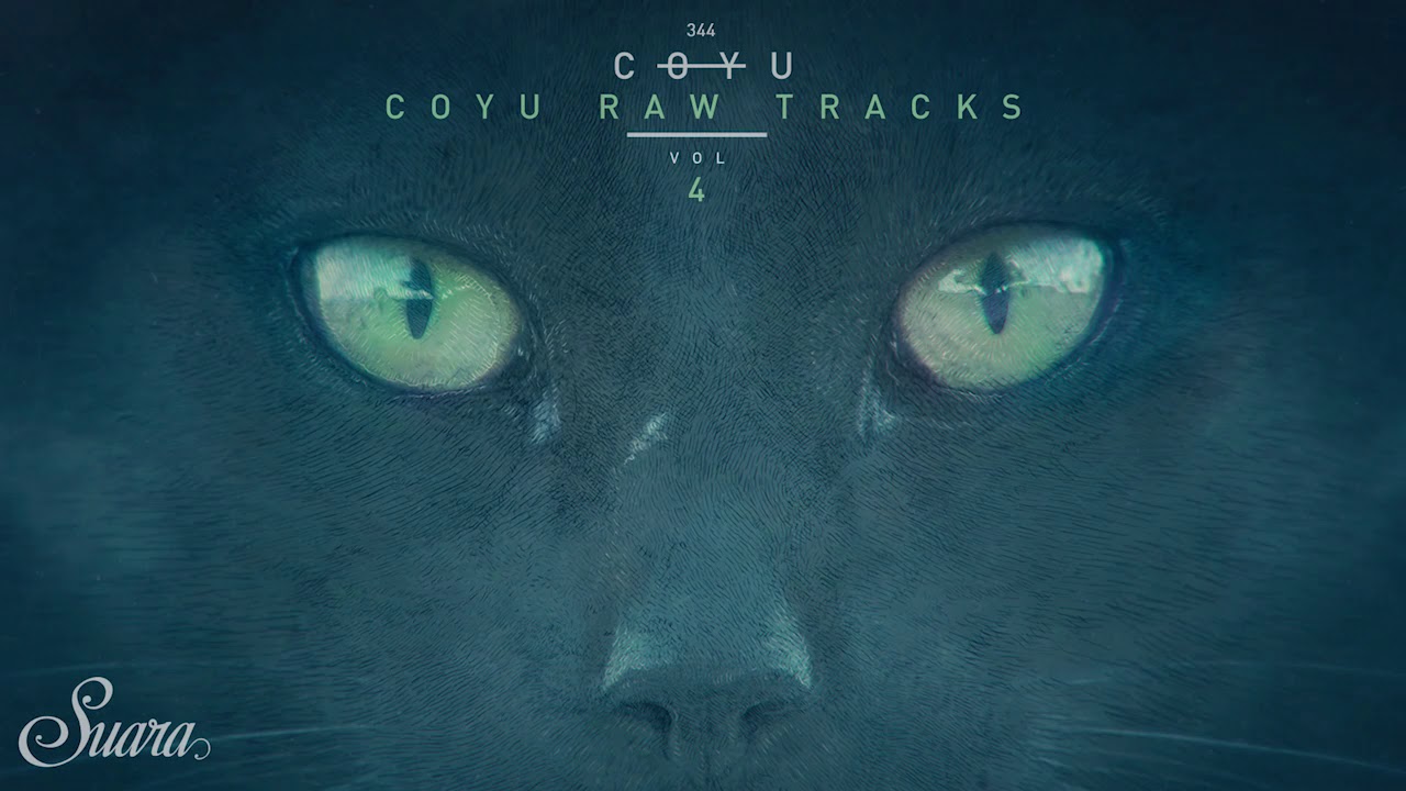 Coyu - Practical Disorder Compulsory (Coyu Raw Mix) [Suara]