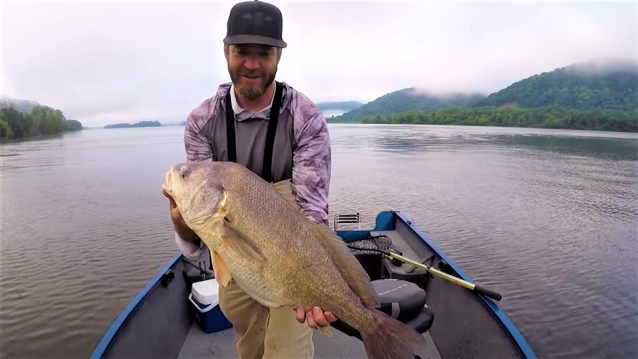 Wingdam Willowcats | Summer Fishing Mississippi River Wingdams