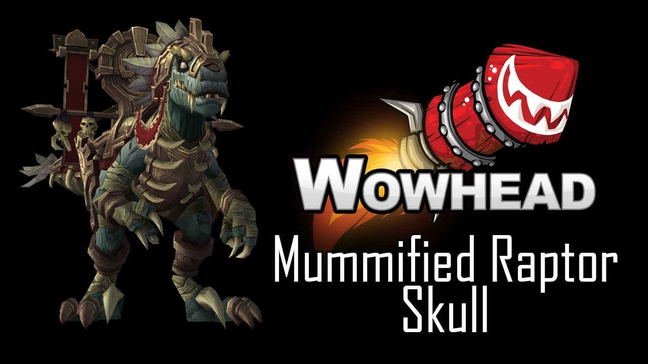 Mummified Raptor Skull