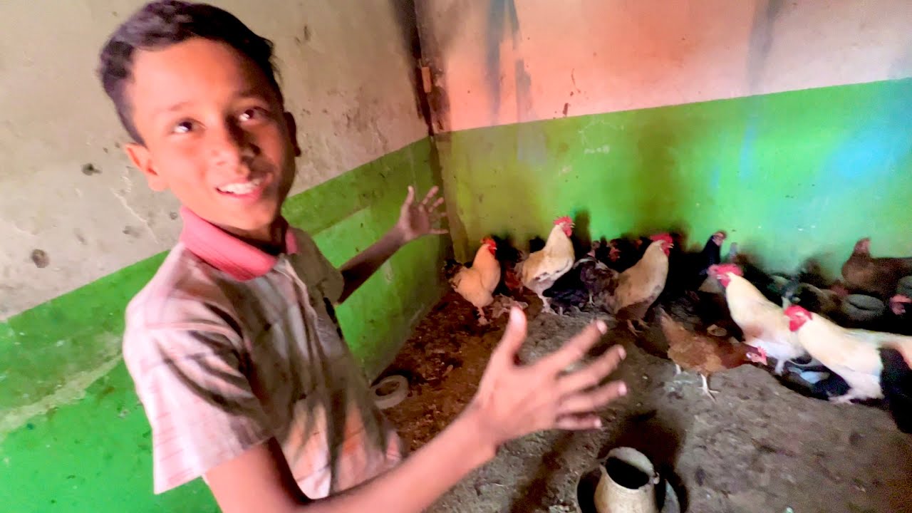 My New Hens 🐓🐓 | Dawood Sabir Vlogs