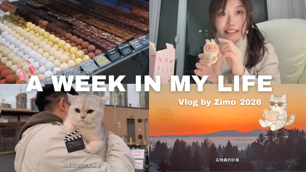 a week in my life(∩^o^)⊃━☆ﾟ.*･｡introvert diaries, cozy life