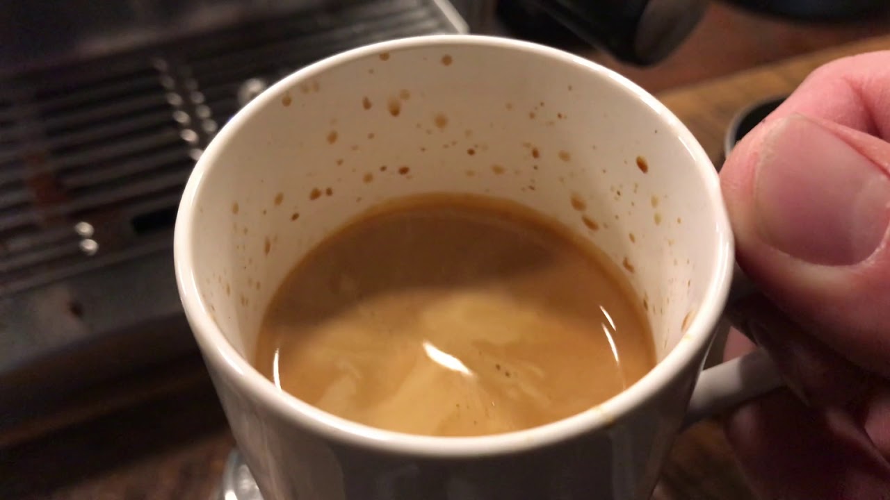 Breville Barista Express Review 2019