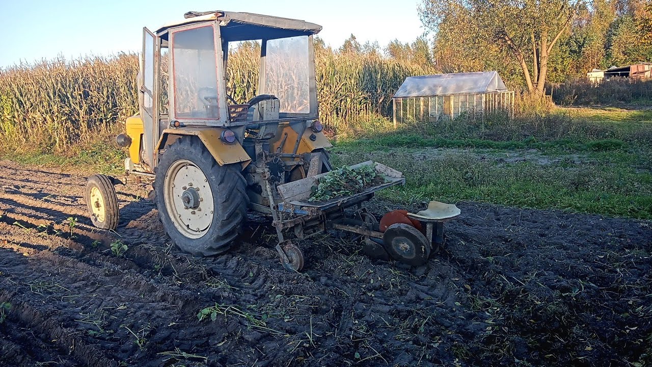 Sadzenie truskawek | powoli do przodu