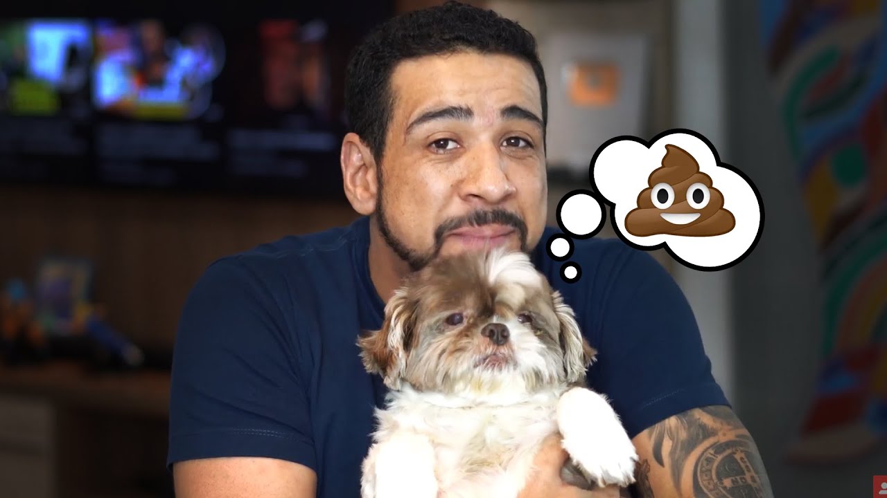POR QUE SHIH TZU COME FEZES? - Veterinário Alex Responde