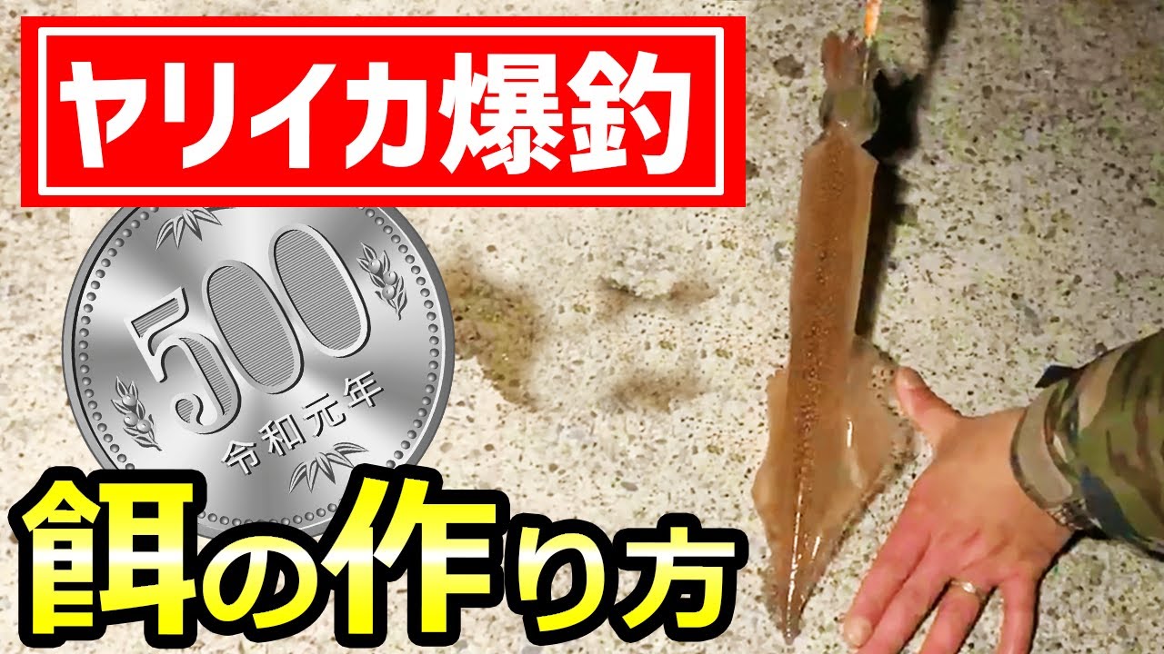 【ワンコインで超簡単】ヤリイカ爆釣！エサの作り方！ウキ釣りもエギングもOK！～