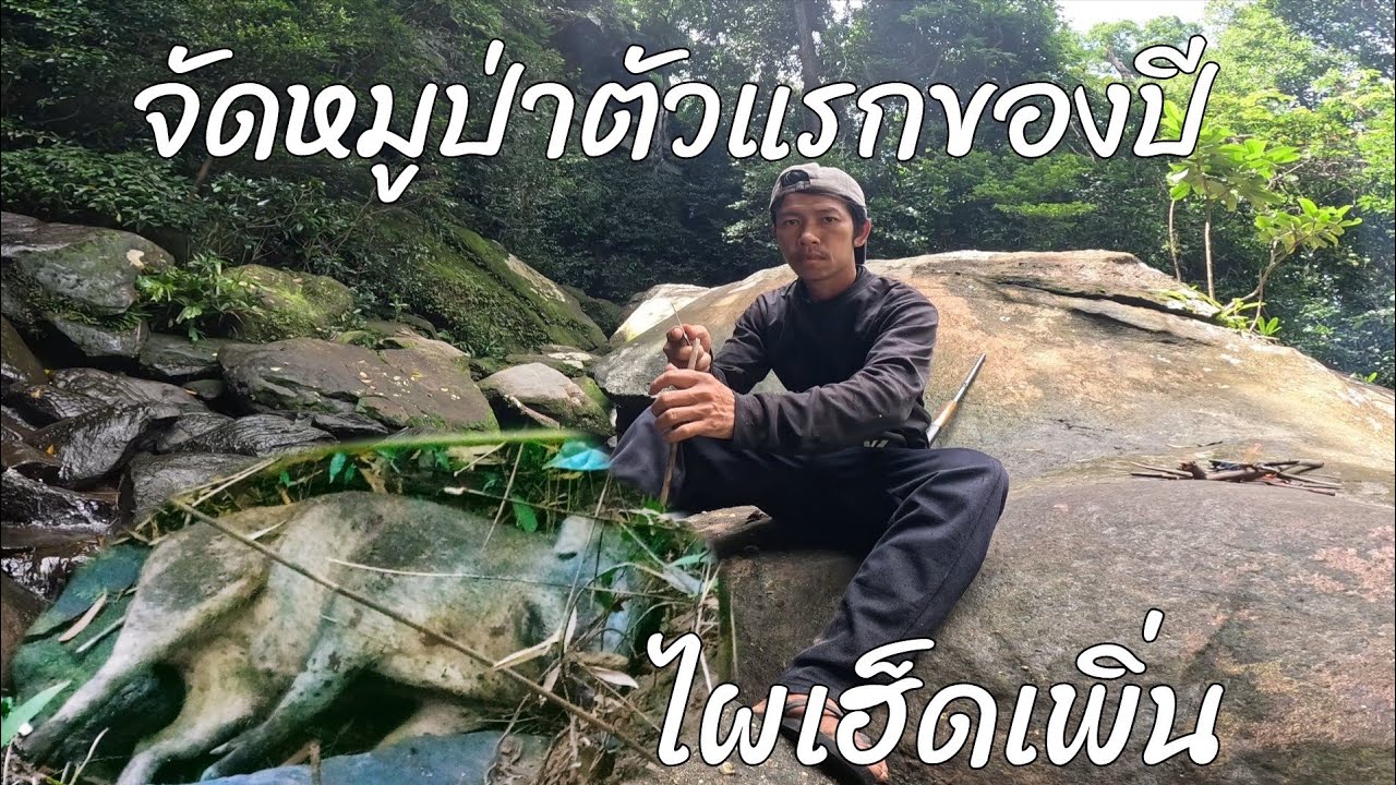 หมูป่าตัวแรกในรอบปี🐷🐷🐷ทีมงานจนบ่เสื่อ