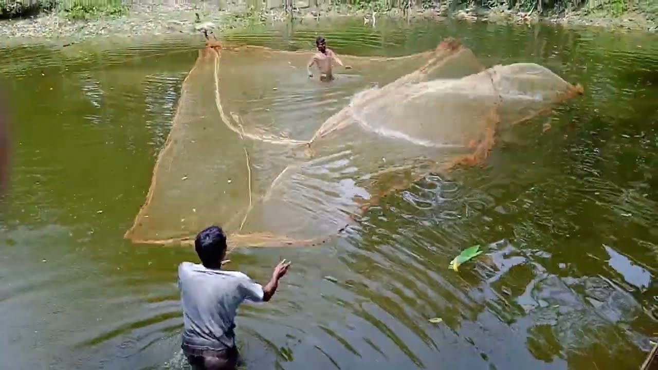 Fish trap in Assam