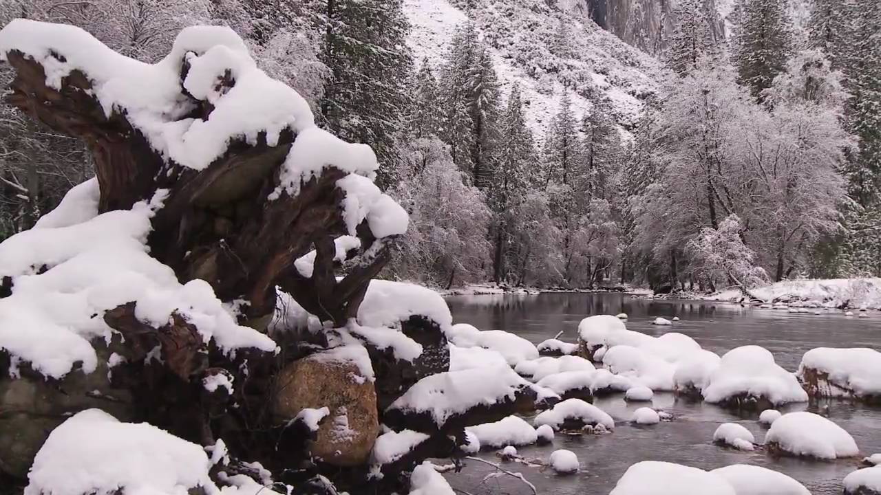 Yosemite Nature Notes - 8 - Snow Line