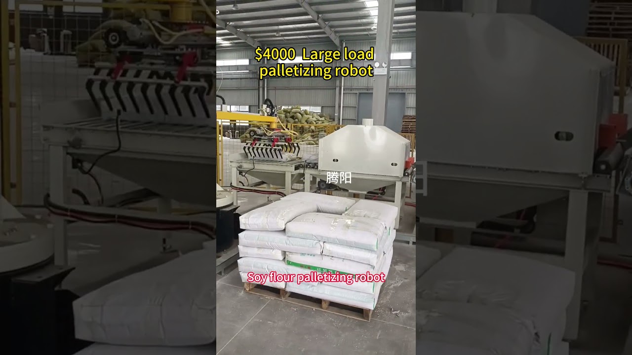 Large load palletizing robot. 