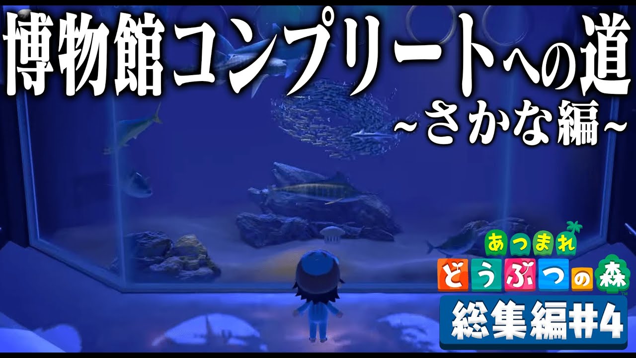 ドコムスの「あつまれどうぶつの森～博物館コンプリート～さかな編」総集編#4【ドコムス切り抜き】