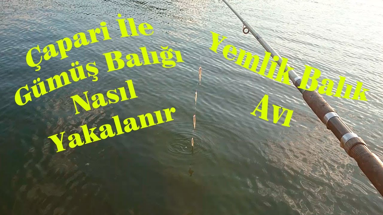 Çapariyle Gümüş Balığı Nasıl Tutulur Çapariyle Yemlik Balık Nasıl Tutulur Catch Fish Fishing
