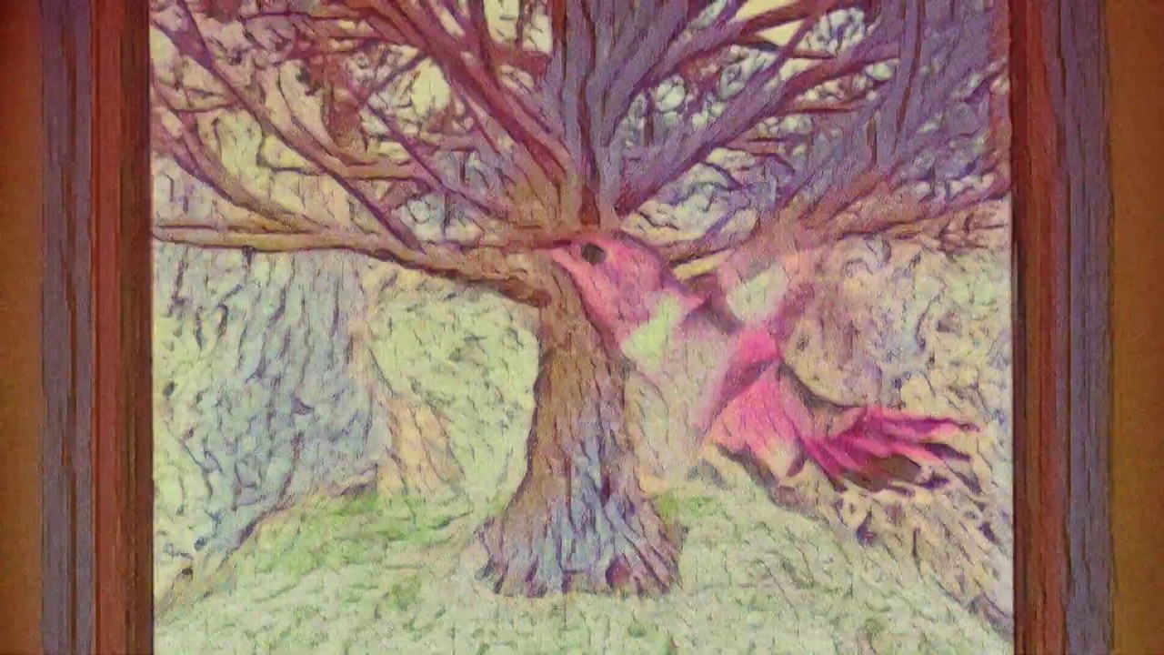 edu - Hummingbird