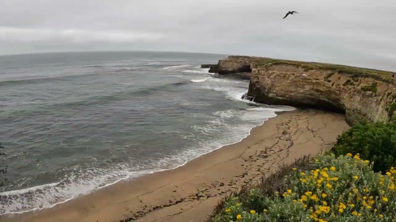Wilder Beach Overlook, California | Secret Coastal Viewpoint Near Santa Cruz | Round-trip Films