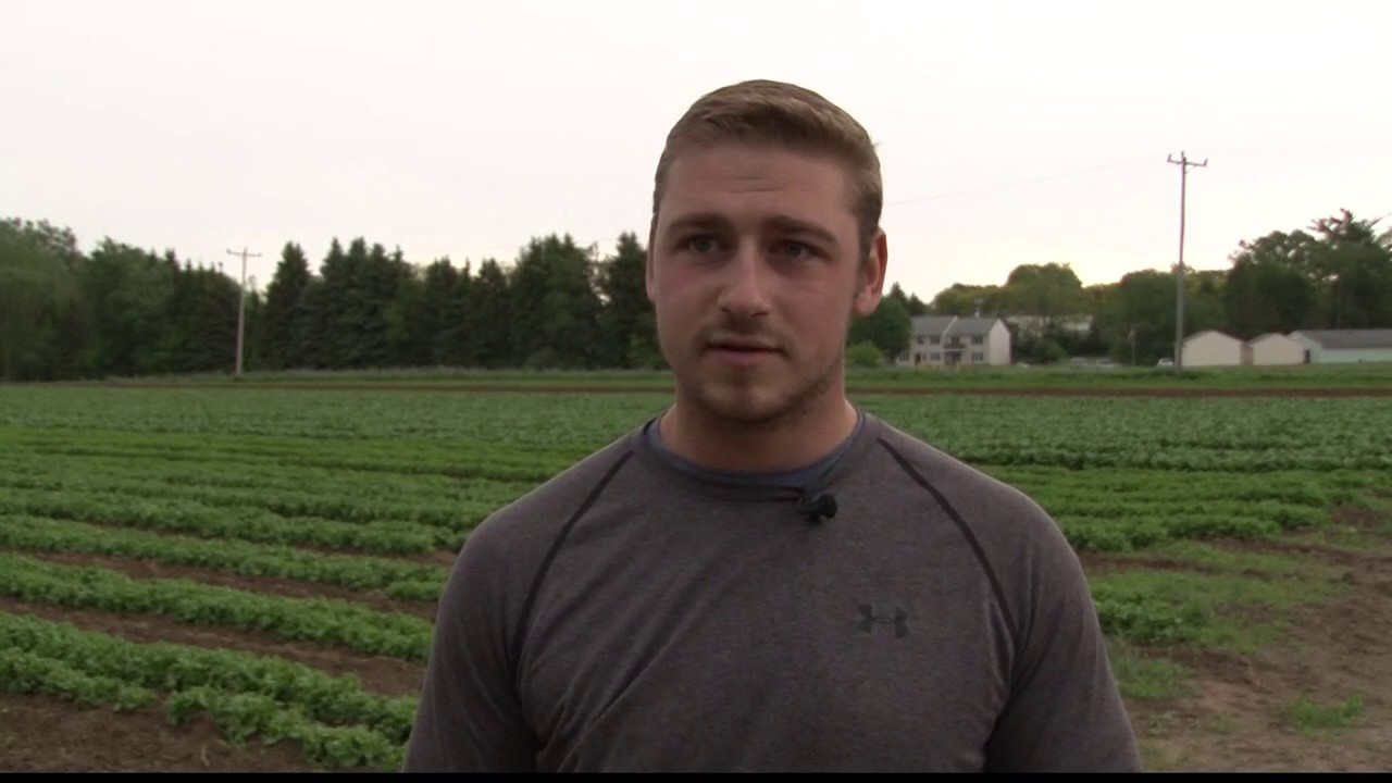 Flooding rains damage crops