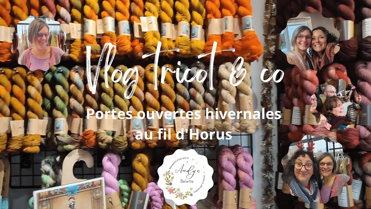 Vlog tricot and co, portes ouvertes Au fil d'Horus, mise à jour, boutique, avancée tricot,...