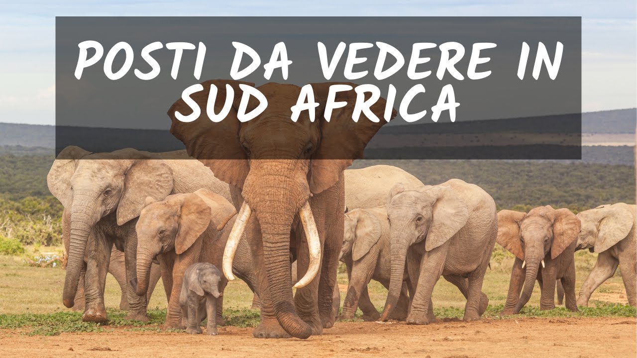 Alla scoperta del Sud Africa: Viaggio tra Natura, Cultura e Avventure Incredibili