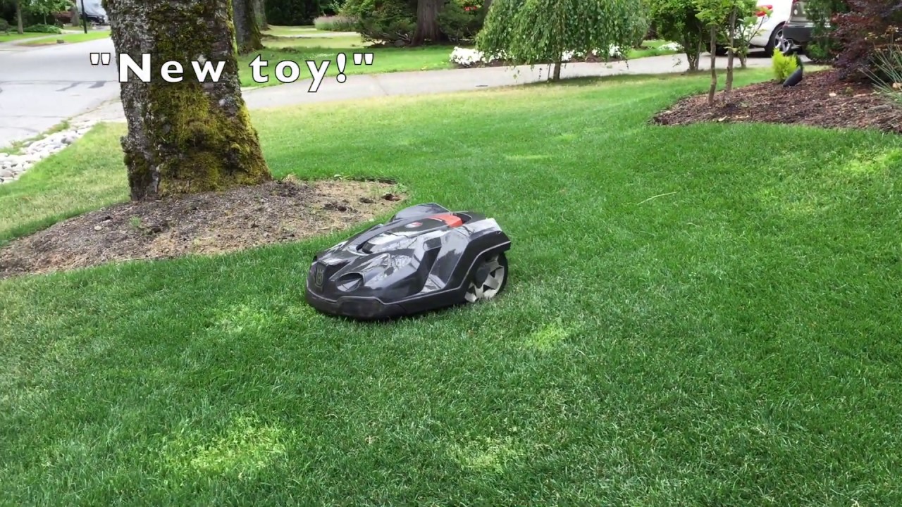 Robot Mower