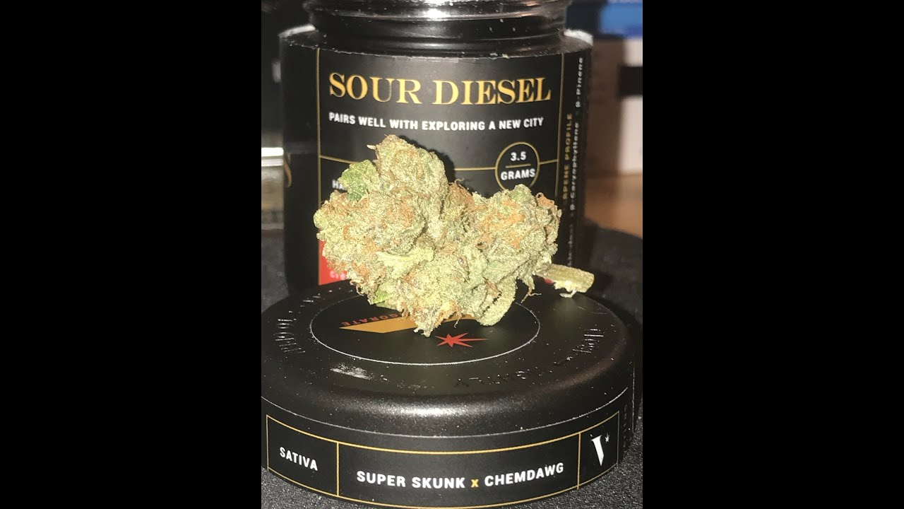 SOUR DIESEL BY VERITAS l STRAIN REVIEW l DENVER DISPO SCOOP!!
