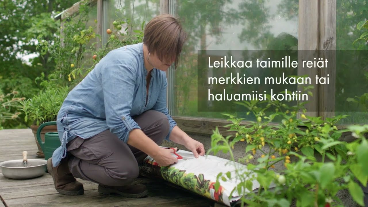 Luomusatoa helposti kasvatussäkissä