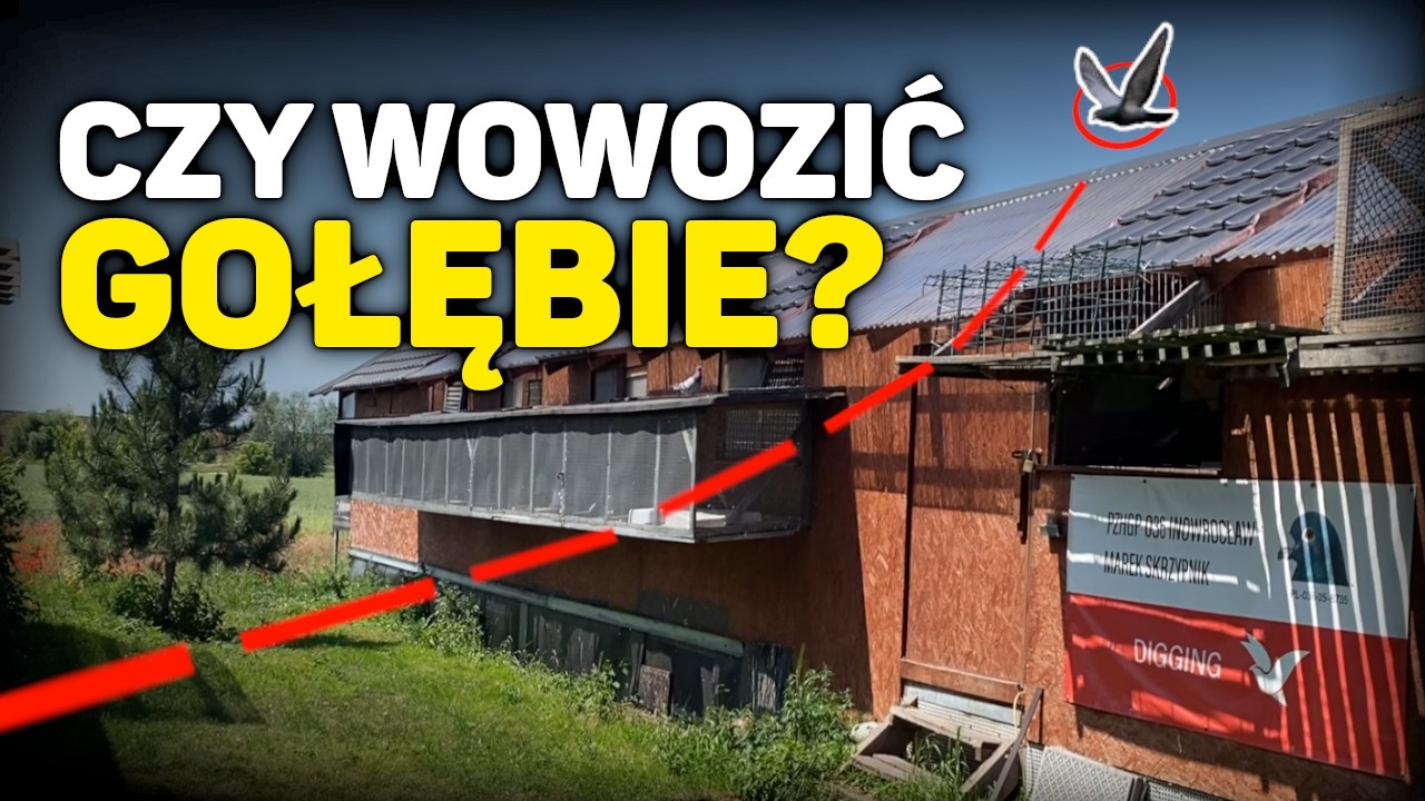 Стоит ли мне убрать голубей?