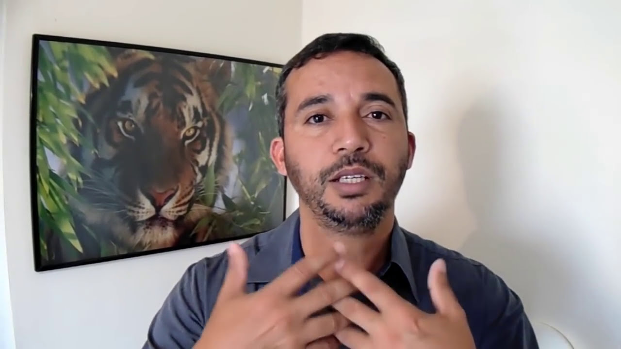 Tigre. Arquétipo de ação e foco.