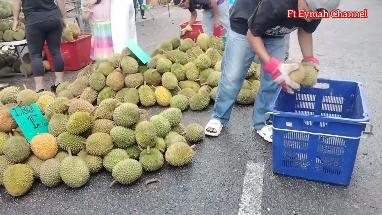 Longgokkan durian di emart tudan, Miri