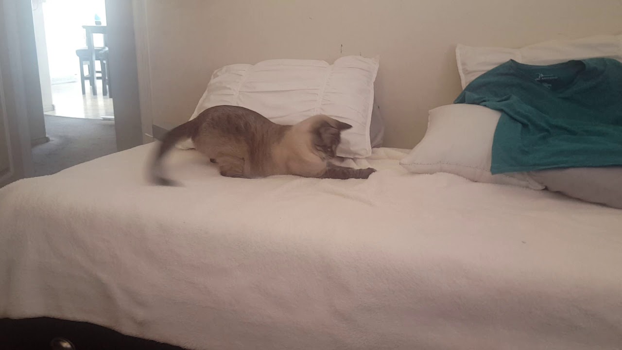 Simon with dental floss