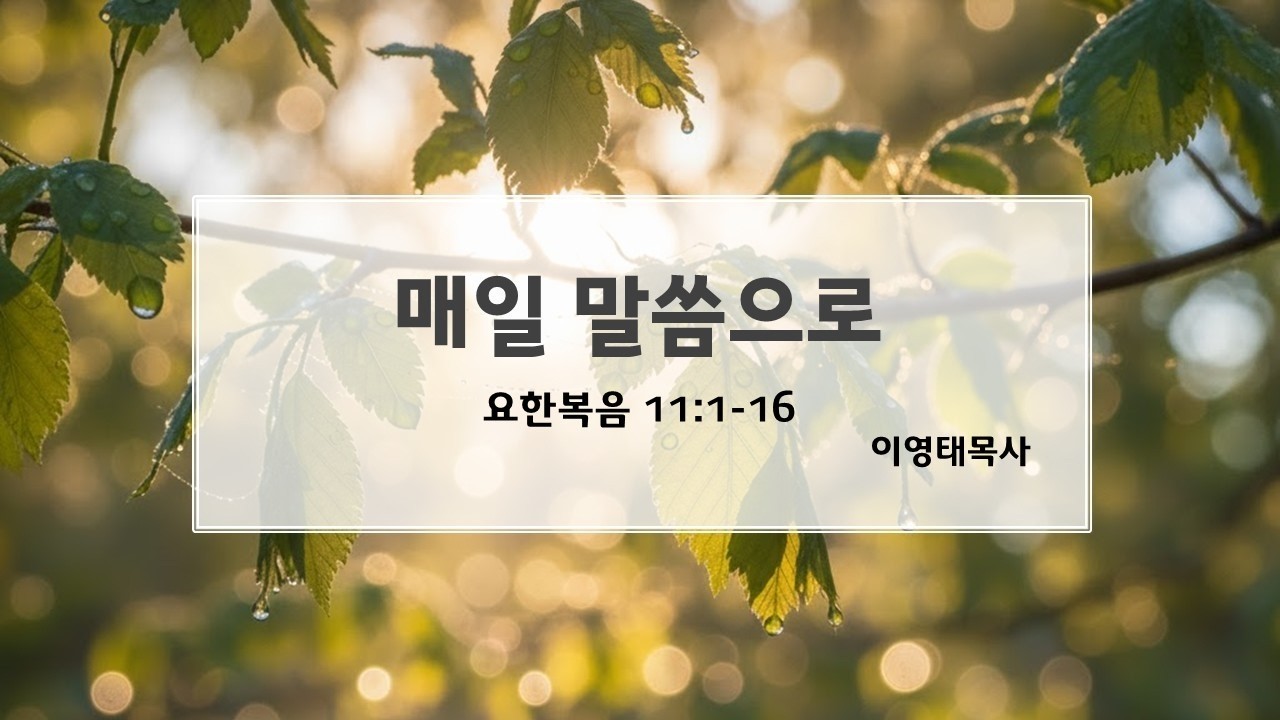순전한교회 / 요한복음 11:1-16 / 이영태목사 / 2026.03.06 매일 말씀으로