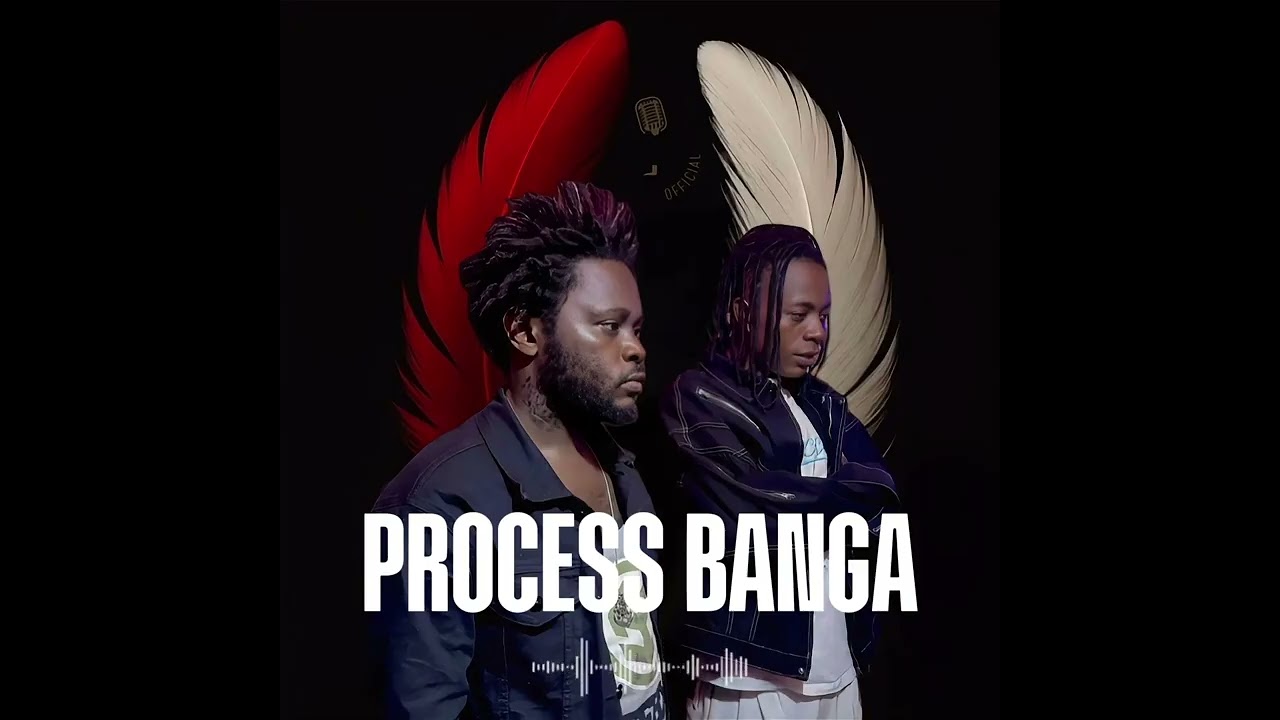 Ir Balaine Kilo ft #dj T_Leopard - PROCESS BANGA