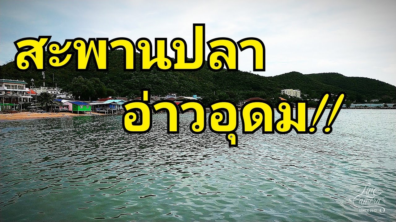 สะพานปลาอ่าวอุดมสถาณที่ตกปลาและพักผ่อนช่วงเย็น มีเรือมากมายทั้งเรือประมงและเรือขนส่ง