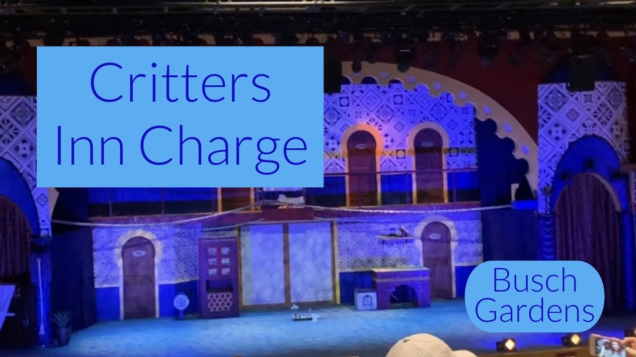 Critters Inn Charge Animal Show || Busch Gardens Tampa Bay