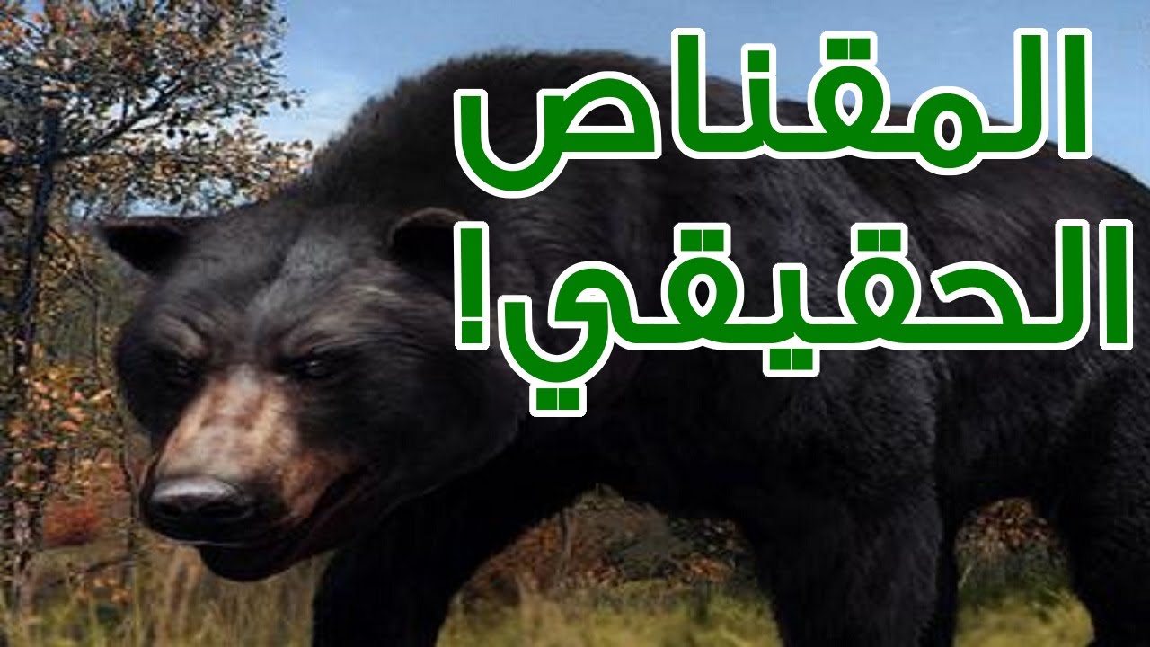 المقناص الحقيقي