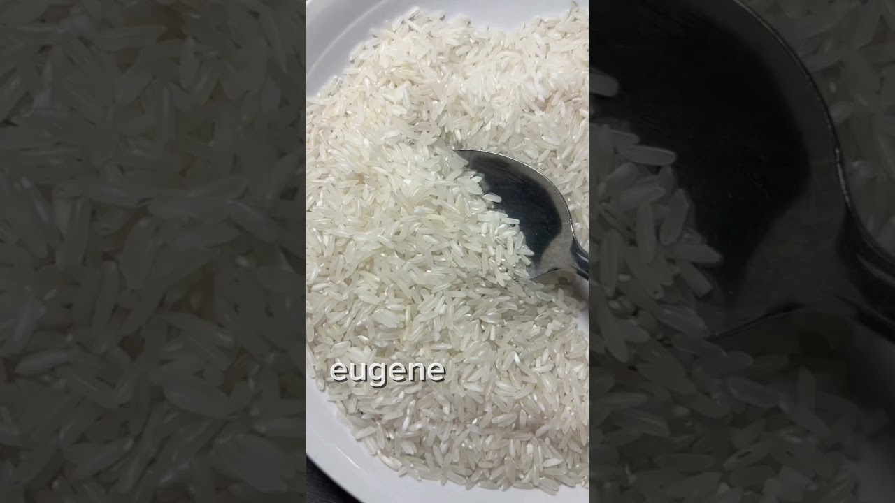 makan beras | #asmrberasmentah #rawriceeatingsounds #asmrsounds #makanberaslokal #bigas eating