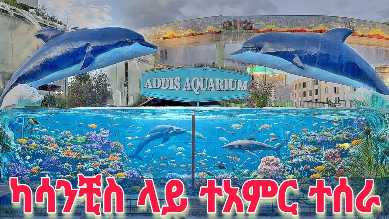 Addis Aquarium | Newest architectural marvels Kasanchis's Fish Gate, 🇪🇹 Ethiopia walking Tour 2026