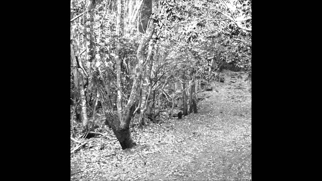DØVES x WICCA PHASE SPRINGS ETERNAL - CRY