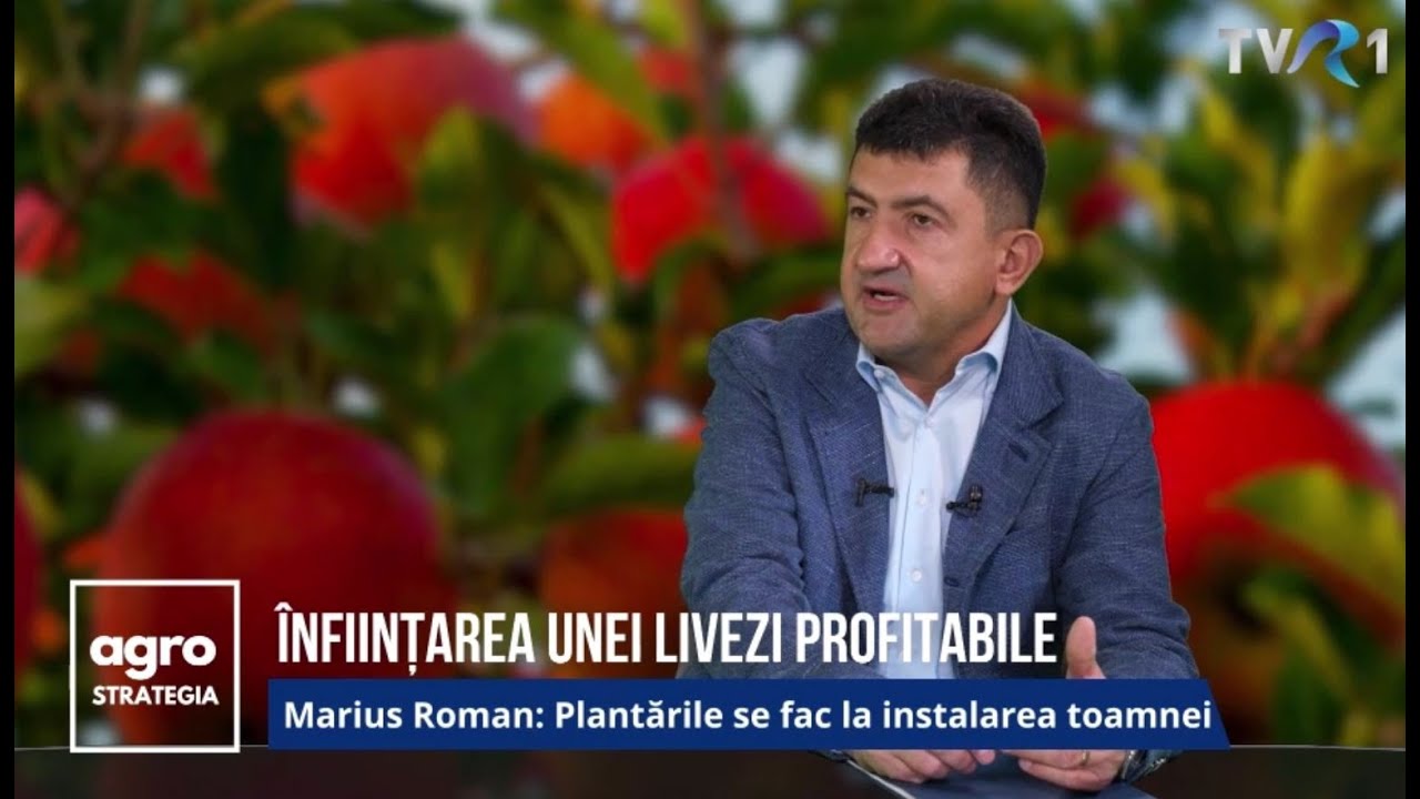 Calendarul Plantarilor - Sfaturi Practice Plantare Pomi Fructiferi