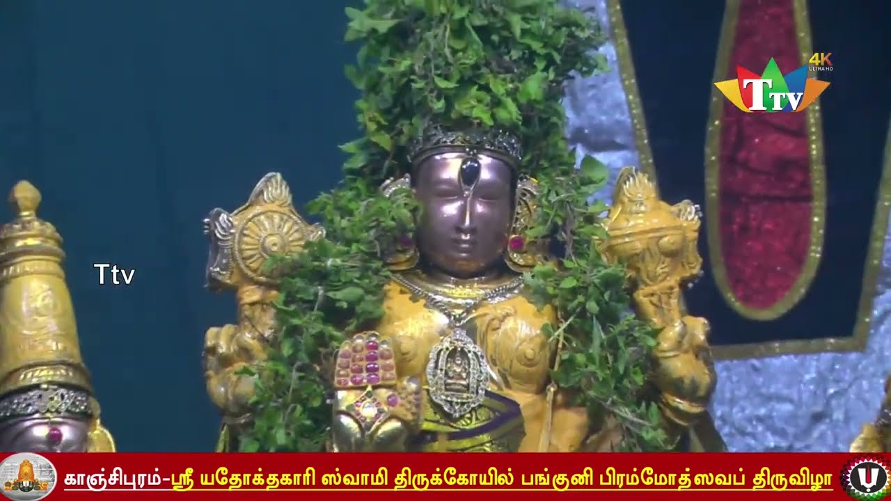 ஸ்ரீ யதோக்தகாரி சுவாமி திருக்கோவில் பங்குனி பிரம்மோத்ஸவா திருவிழா #Ttvkanchi