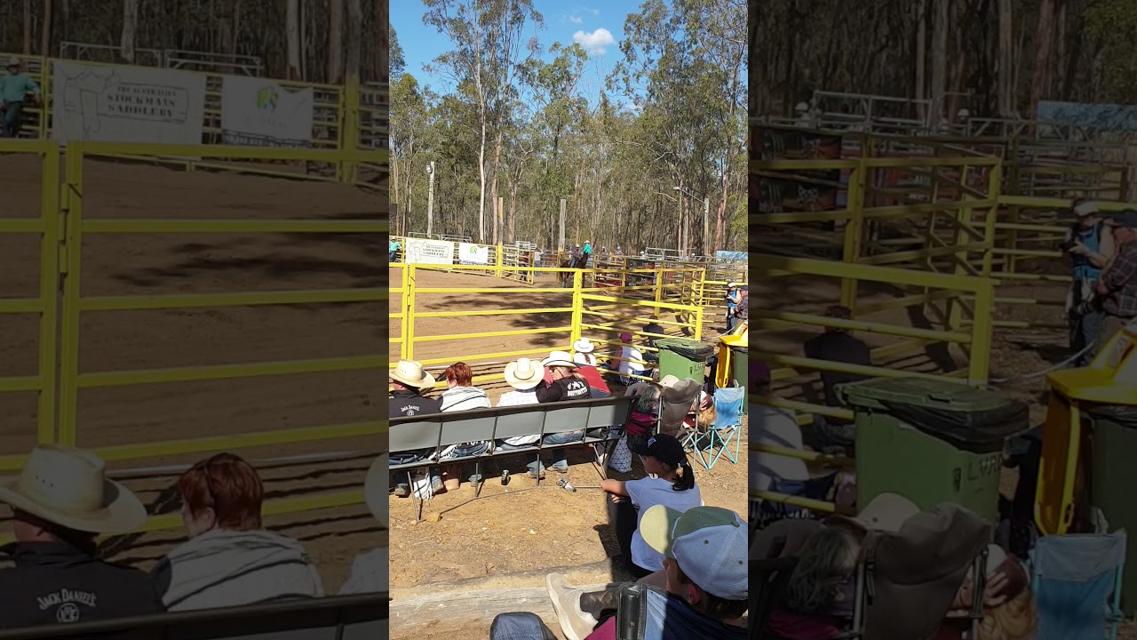 Murphy's creek rodeo junior  barrel race