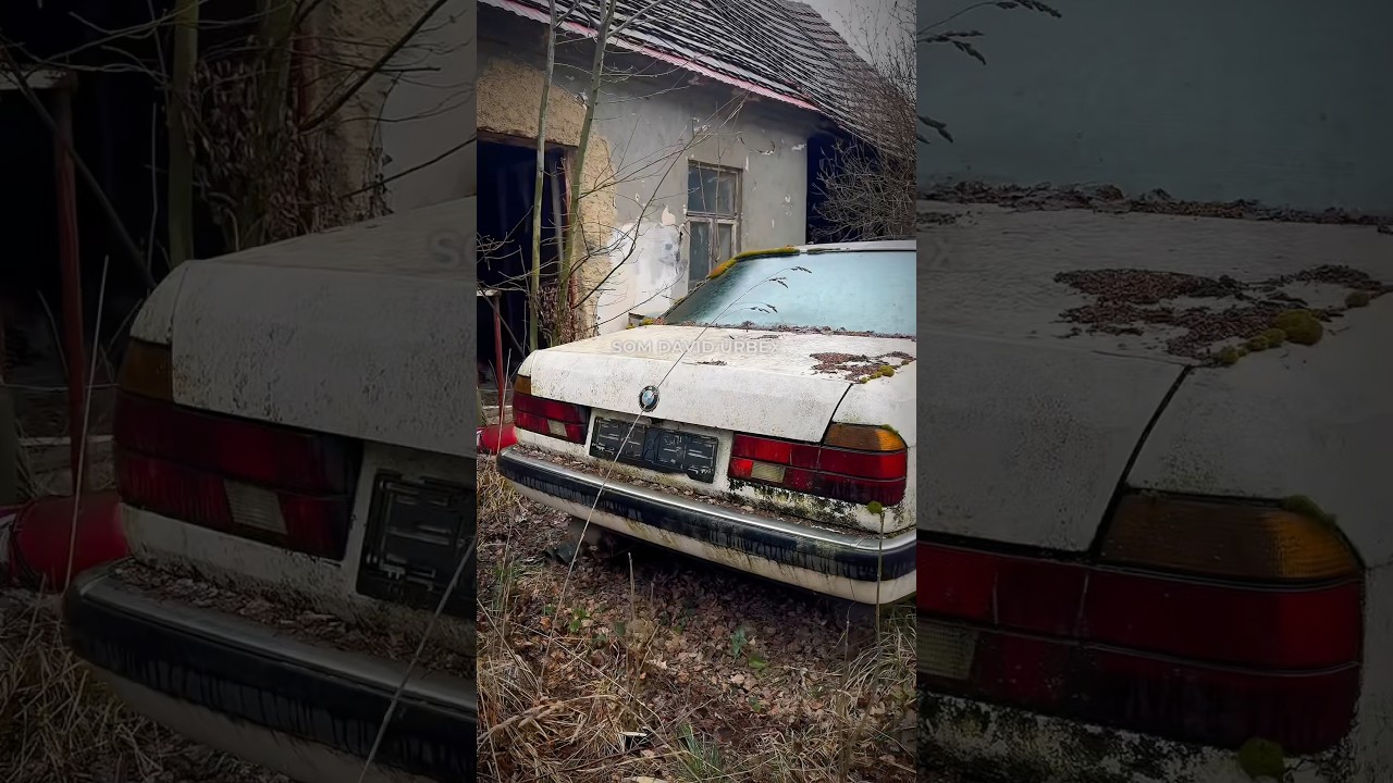 Opusten&eacute; BMW a tajn&aacute; miestnosť kde sa niečo pestovalo, nemysl&iacute;m si že paradajky.