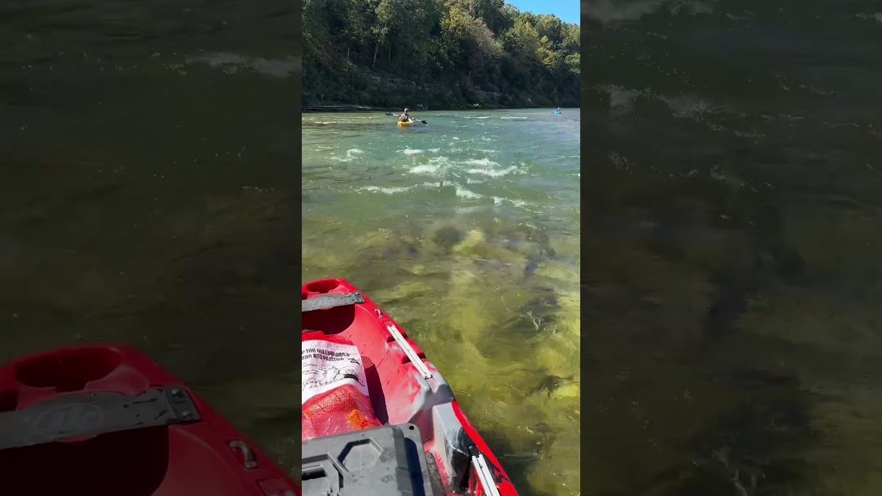 Floating the North Fork River in Missouri on an October Saturday.