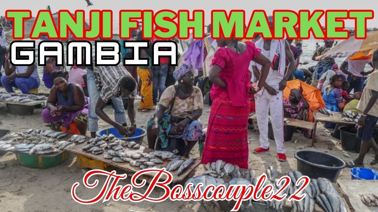 Tanji The Largest Fish Market In The Gambia | TheBosscouple22