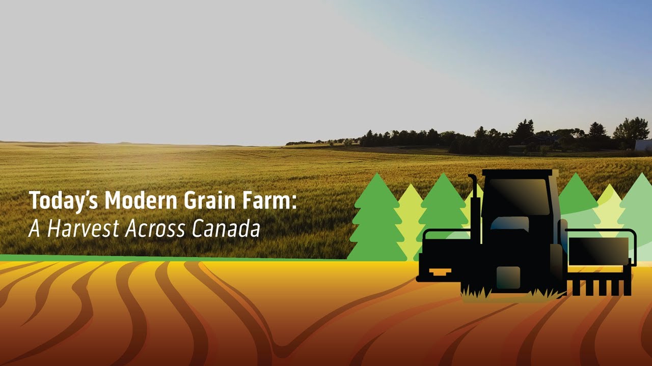 Today's Modern Grain Farm: A Harvest Across Canada