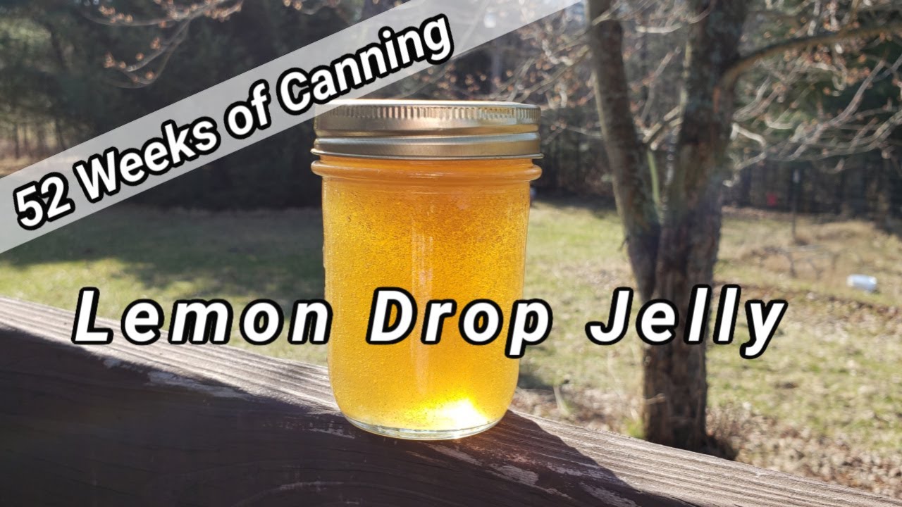 Canning Lemon Drop Jelly   52 Weeks of Canning