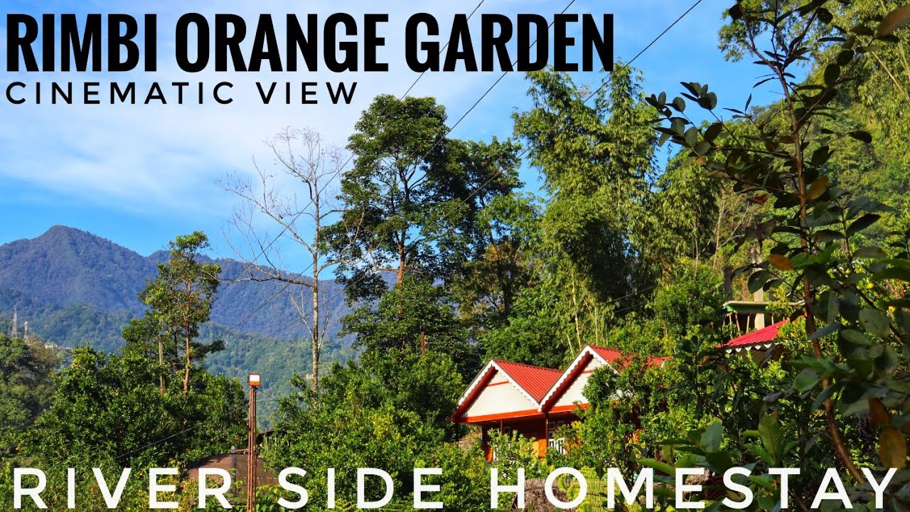 RIMBI VILLAGE & ORANGE GARDEN 🍊 || CINEMATIC VIEW || WEST SIKKIM EP:-02|| SIKKIM
