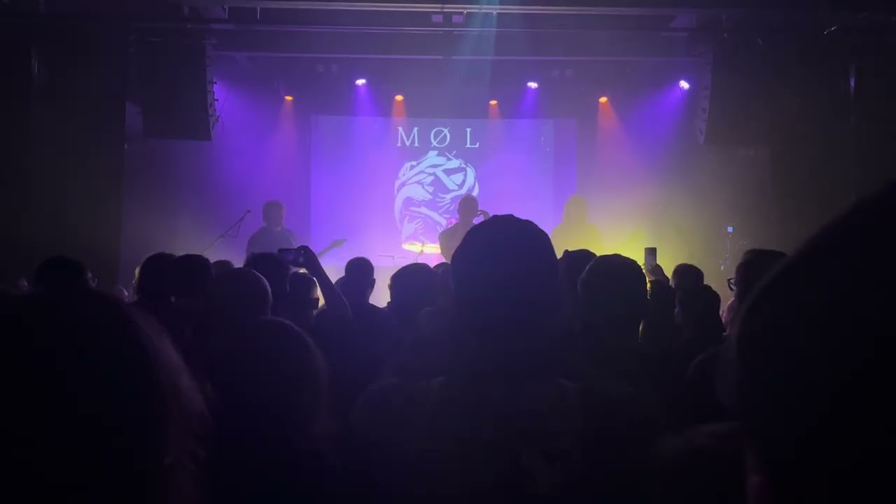 Møl in Wiesbaden