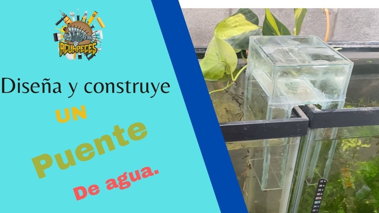 Diseña y construye un puente de agua para conectar una o más pecera.