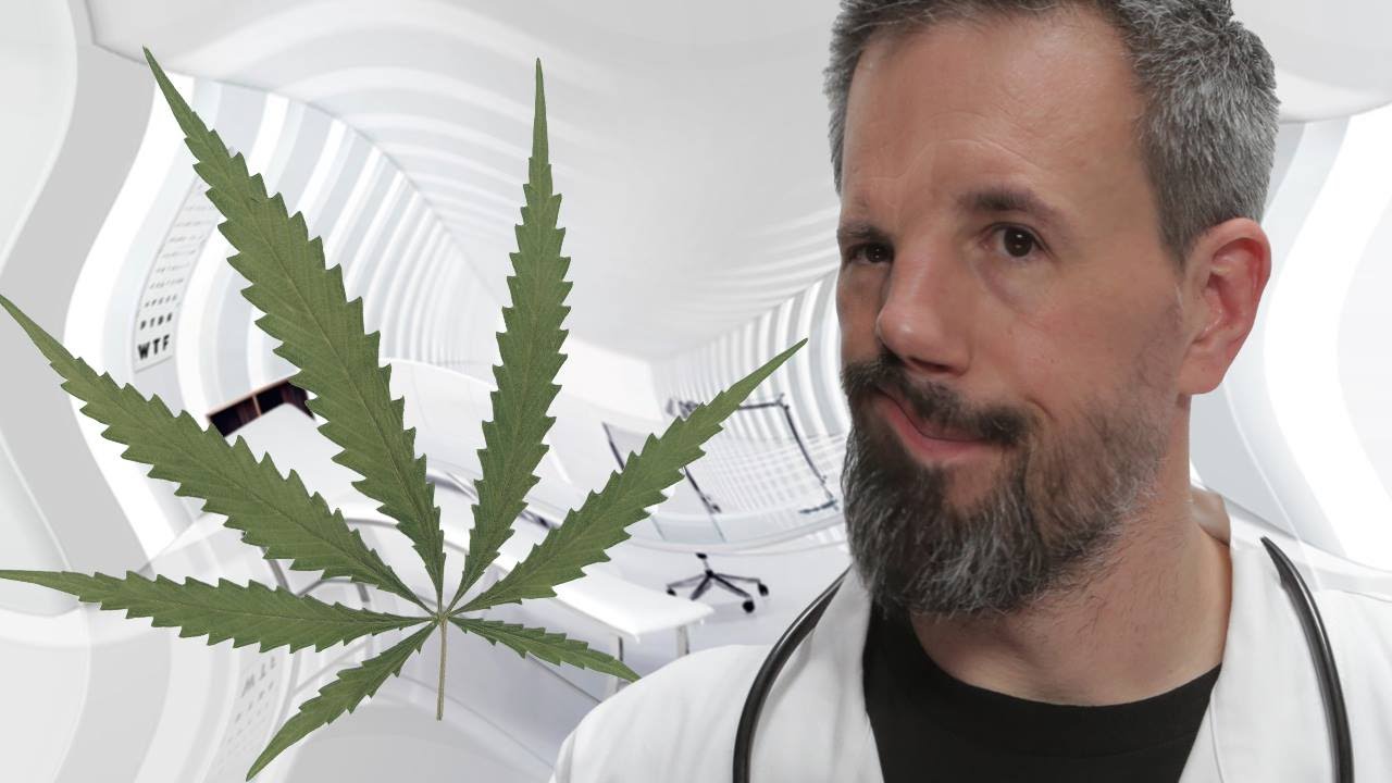LES EFFETS DU CANNABIS SUR LE CORPS