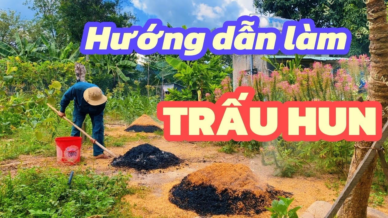 Cách làm trấu hun tại nhà đơn giản nhất