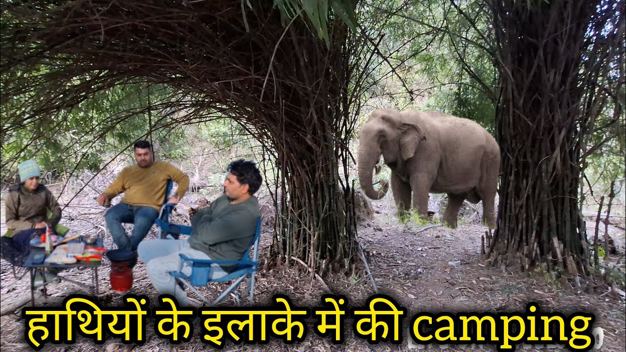 Adventure in jungle camping ! survival camping ! wildlife ! Scary night camping @campingwitharyan 